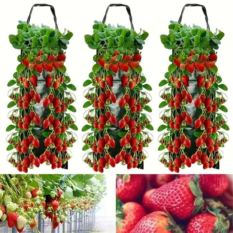 3-Piece Hanging Strawberry Planting Bags, Waterproof Pe Material, Multi-Pocket Fruit Cultivation Pouches, Strawberry Vertical Planters, Home Gardening Supplies
