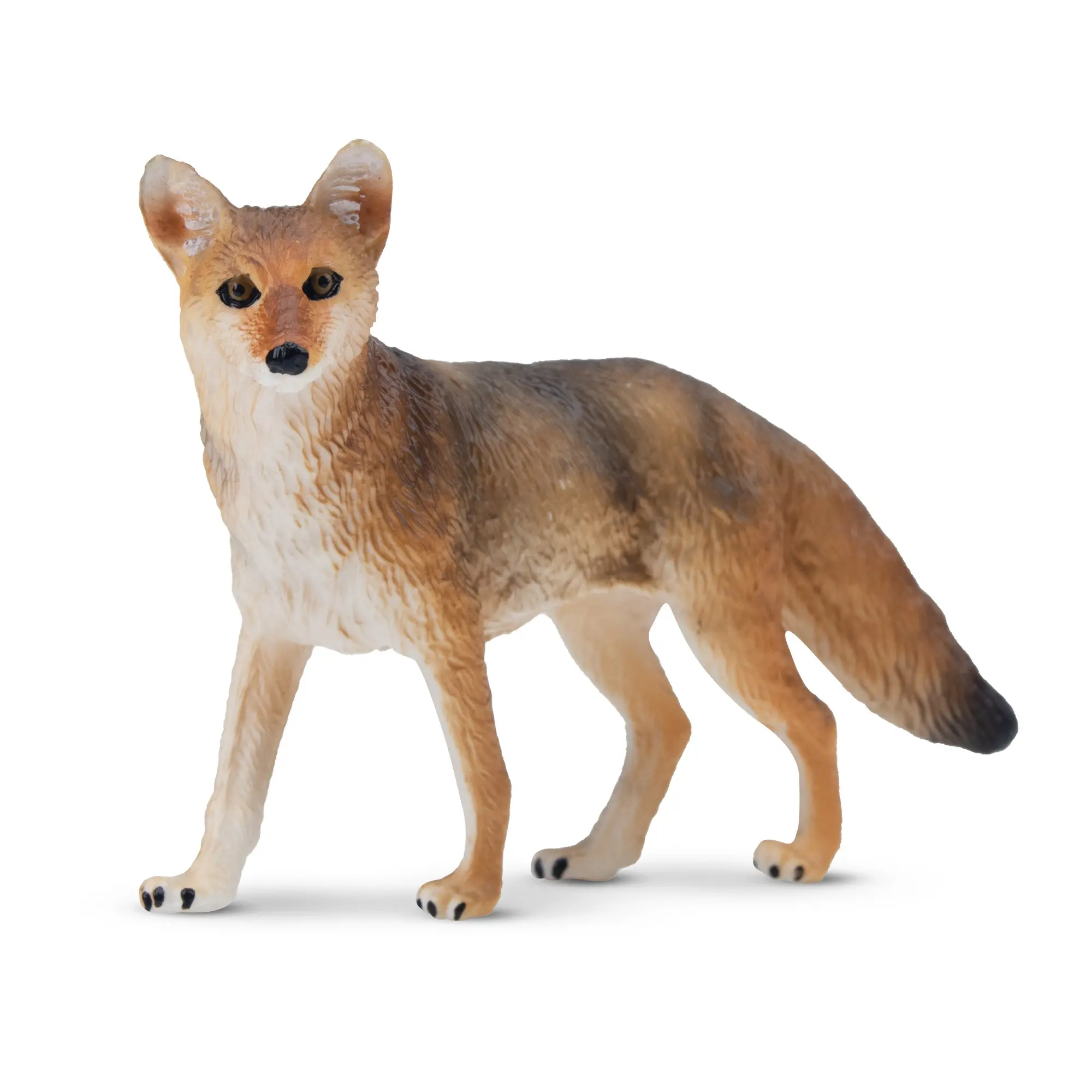TOYMANY PVC Plastic Small-Size Hand-Painted Mini Coyote Figurine - Realistic North American Wild Animal Model with Box, for Early Education, Collectible Home Decor
