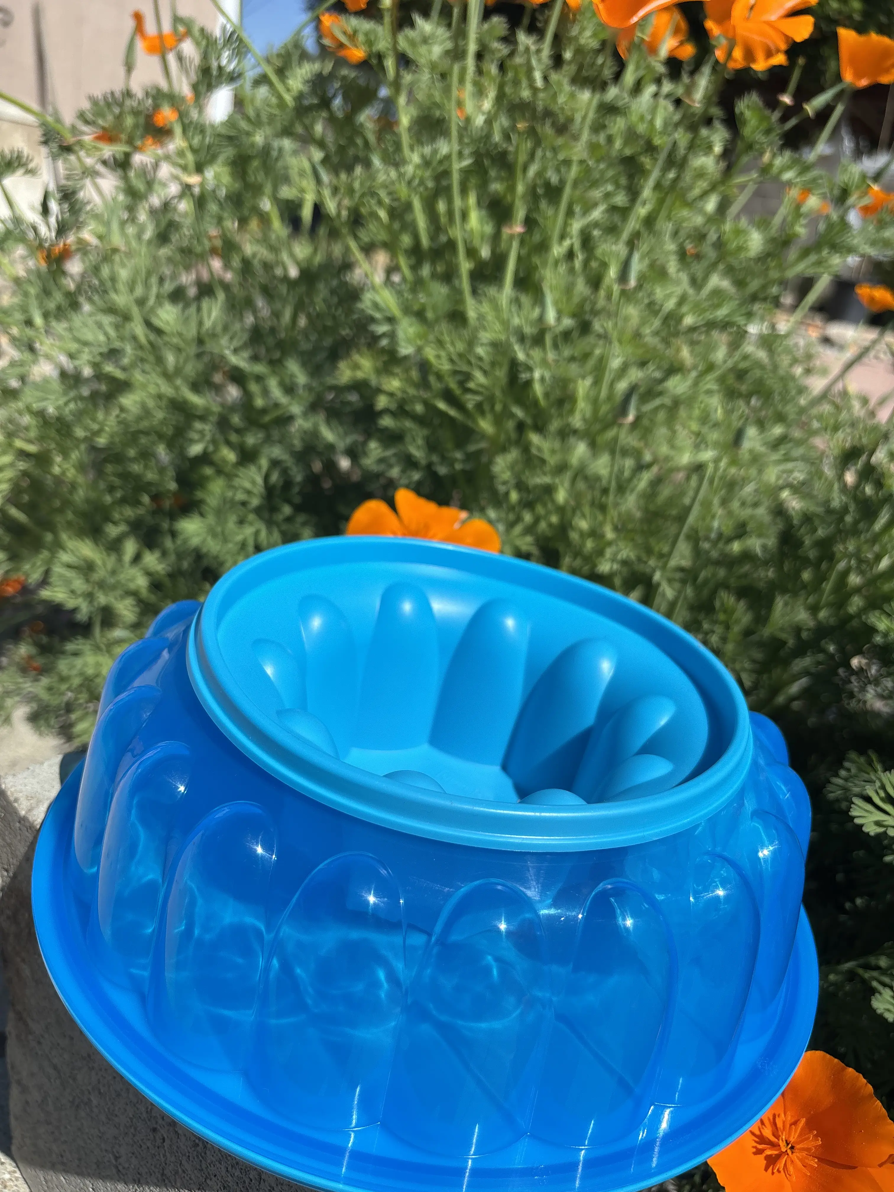 Jello blue color mold Jello blue color mold