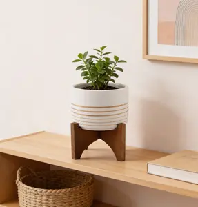 Ceramic Planter with Wooden Stand