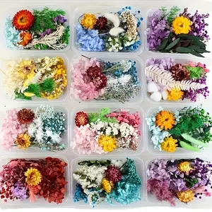 DIY Craft Kit with Dried Flowers, Preserved Flowers, Resin Filler, Candle Flower Material, Perfect for Christmas and Thanksgiving