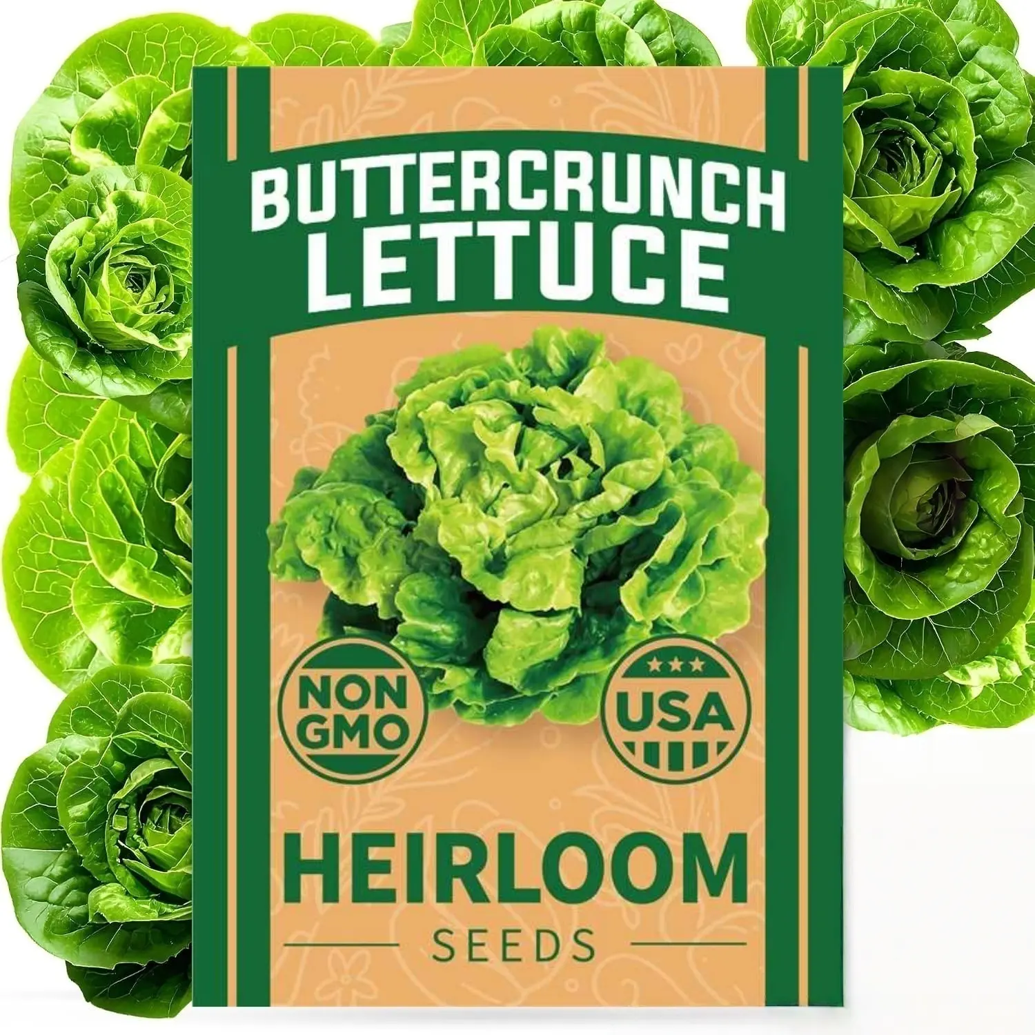 Heirloom Buttercrunch Lettuce Seeds Vegetable Garden Seeds for Planting Non GMO Bibb Lettuce Plants Indoor Outdoor Hydroponic Gardening Heat Resistant Easy To Grow Fresh Leafy Greens For Home Garden