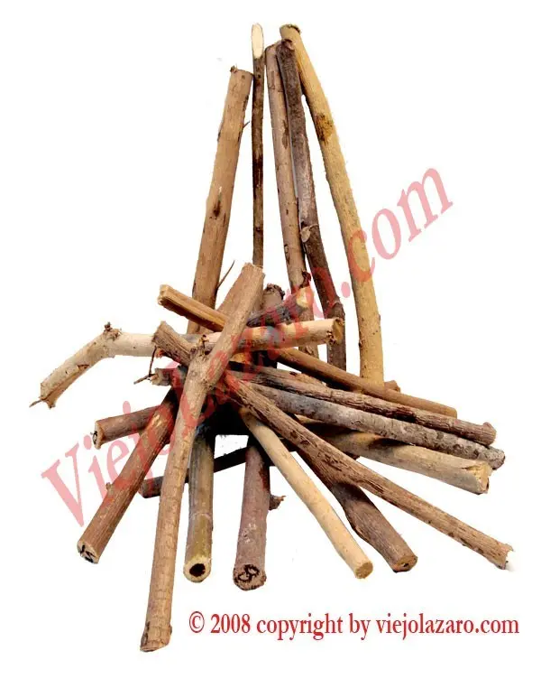 STICK PALO JAGUEY STICK PALO JAGUEY