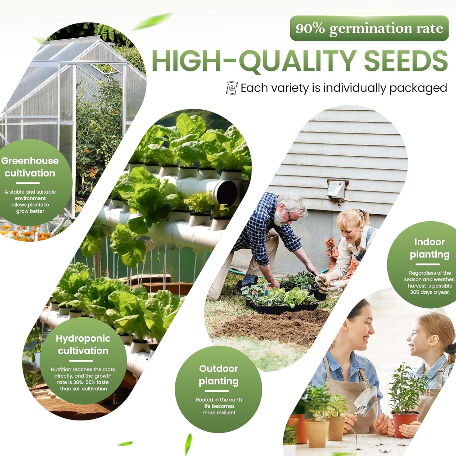 Vegetable Seed Vault Kit - 35 Variety Pack for Home Growing & Planting Survival Seeds Heirloom Vegetable Mix