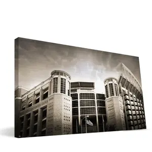 Texas 16x36 Memorial Stadium Canvas