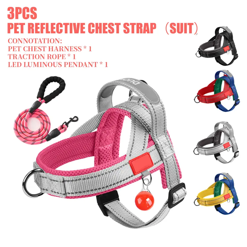 Dog Basic Halter Harness Set - Easy-to-Fit No-Pull Design, Chafe-Resistant Lightweight Adjustable Straps, Secure Walking & All-Day Comfort - Free Dog Leash & Bright LED Safety Light