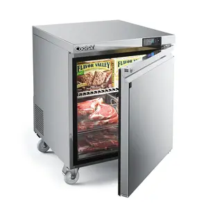 Coolski 27 in. 7.5 cu. ft. Commercial Auto / Cycle Defrost Undercounter Upright Freezer in Stainless Steel