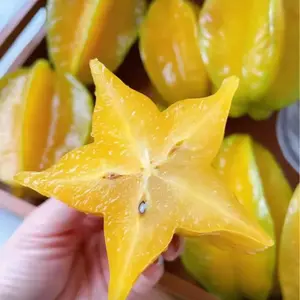 Starfruit Seeds – High-Yield Sweet Tropical Fruit Seeds, Easy-to-Grow, Indoor & Outdoor Planting, Fruit Seedling for Home Garden