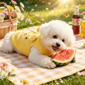 Pet Cat Dog Spring Fall Clothing, Embroidered Vest, Anti-Shedding, Breathable, Stain-Resistant, Suitable for Small Dogs and Cats