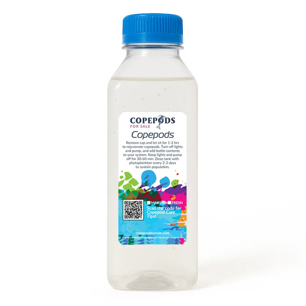 X-Large Marine Copepods – Reef Aquarium Food + Cleanup - Free Shipping - 8oz