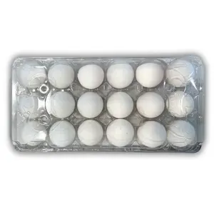 18-Egg Carton, Ovotherm