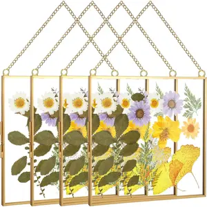 4 count Glass Frame for Pressed Flower 8x8 Inch Clear Wall  Photo Frame Glass Picture Double Square Metal Floating DIY  Artwork Display with Chain for Poster,