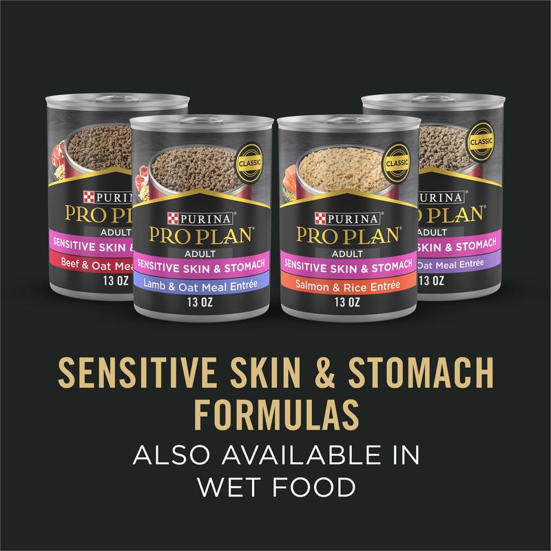Specialized Sensitive Skin & Stomach Salmon & Rice Dry Dog Food