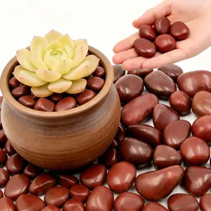 Red River Rocks Outdoor Landscaping- 1-2inch Polished Pebble for Plants- Garden Decorative Stones-Large Plant Rocks,Ideal for Aquarium, Home Decor-6LB