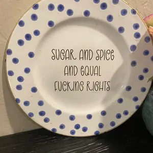 “Equal F—ing Rights” plate