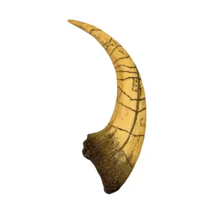 Megarpator Claw Replica - Cretaceous Theropod Dinosaur