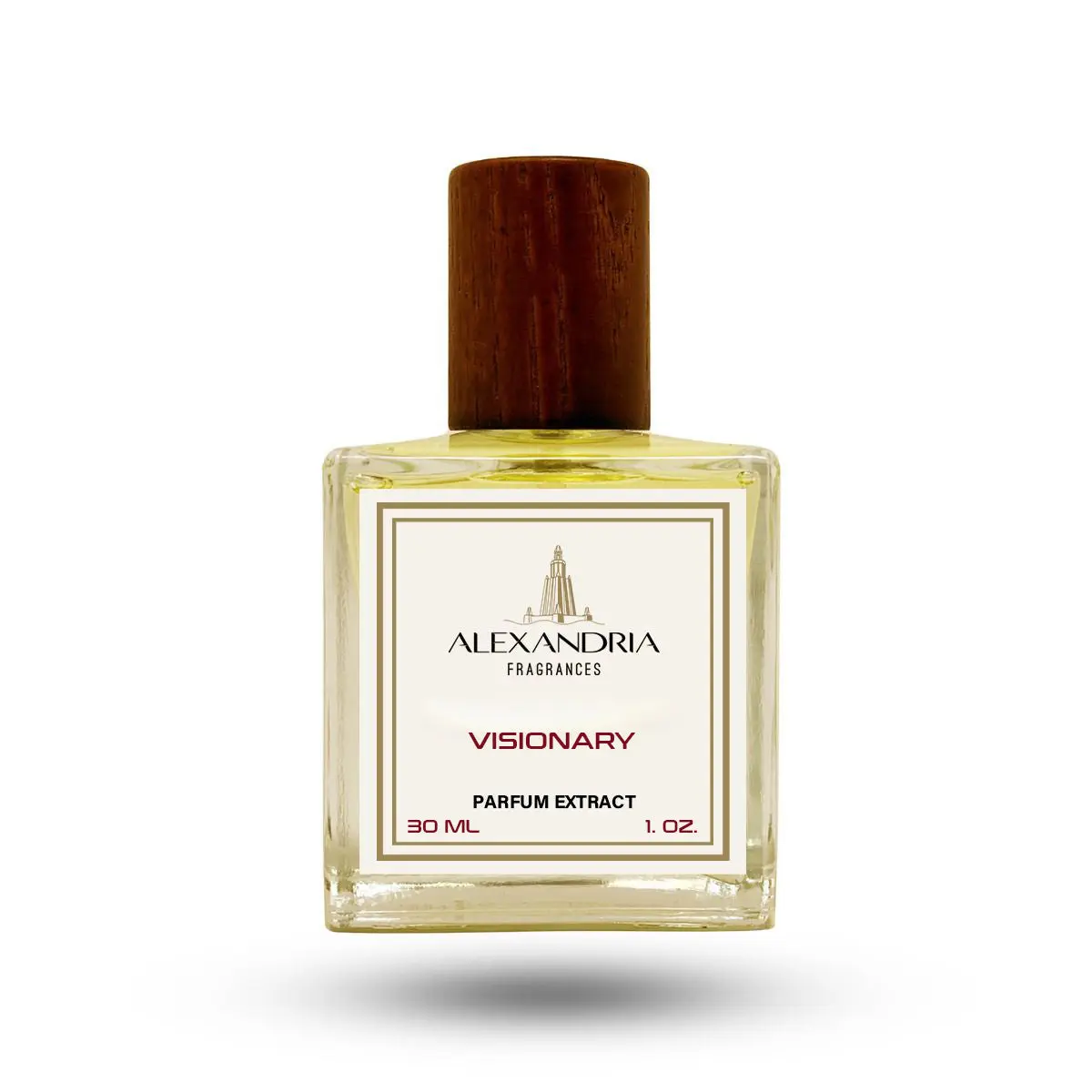 Visionary – Sophisticated & Long-Lasting Unisex Fragrance with Fresh Woods and Soft Amber Accents