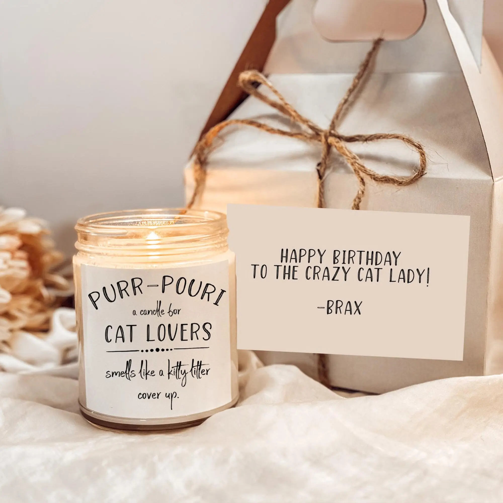 Purr-Pouri Candle for Cat Lovers, Cat Owner Gift, Cat Lover Gift Women, Funny Candle Cats, Gag Gift Cats, Scented Soy Candle, Non Toxic Gift