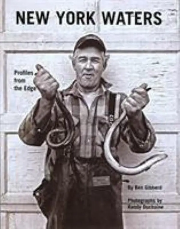 USED-New York Waters: Profiles from the Edge by Ben Gibberd (Hardcover)