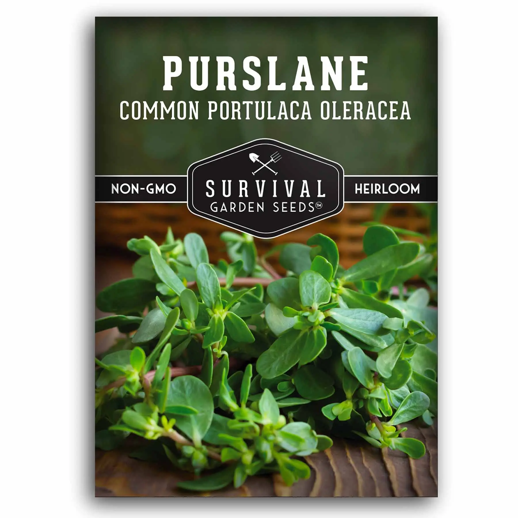 Purslane Seeds – Heirloom Verdolagas, Nutritious Summer Green