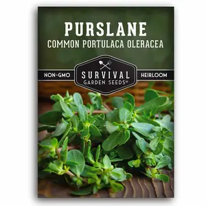 Purslane Seeds – Heirloom Verdolagas, Nutritious Summer Green