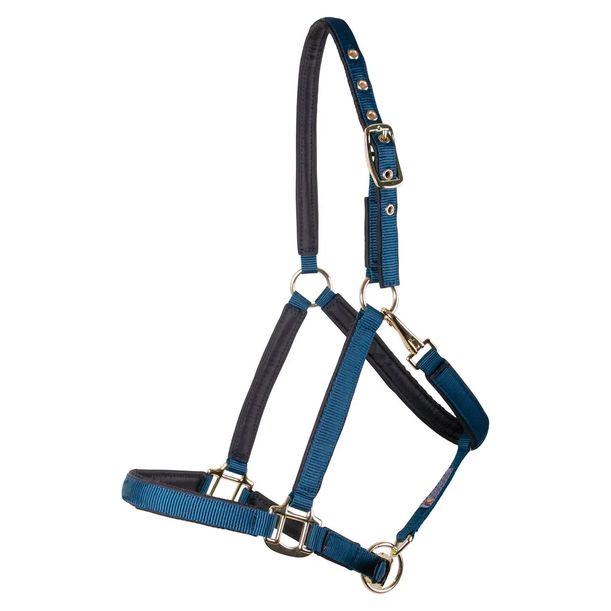 Schneiders Dura-Tech Adjustable, Fully Padded 3/4 Nylon Equestrian Halter - Superior Cushioning for Pressure Points, Snap Closure, Turning Out in the Field (Sports & Outdoor Leisure Equipment)