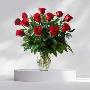 12 Ruby Red Velvet Roses