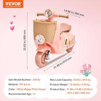 6V Electric Motor Trike