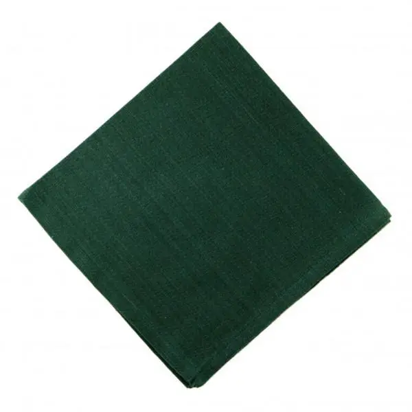 Mr. MJs Trading AG-20320S-4 Napkins, Hunter Green - Set of 4