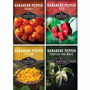 Habanero Pepper Seed Collection - 4 Colorful Hot Peppers