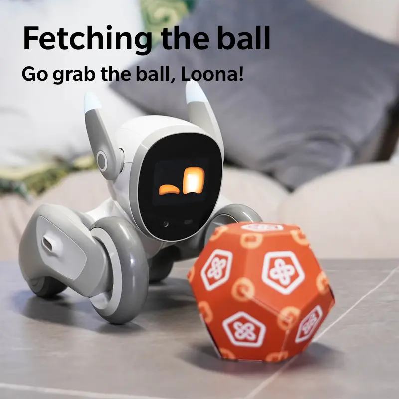 Loona Robot Premium Bundle (Charging Dock Included); Companion