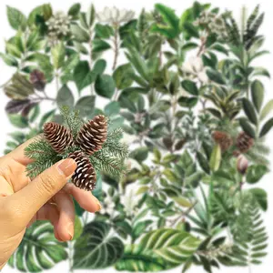 【In Stock & Fast Shipping】50PCS Green Plant Leaf Stickers. Made of waterproof clear PET material, these cute, stylish and stress-relief DIY decals work great for decorating phone cases, iPads, laptops, luggage, journals and phone accessories.