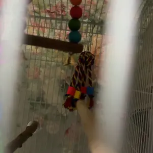 7 Pcs Natural Wood Bird Toy & Perch for Parakeets, Cockatiel & Lovebird, Budgie Play Accessory for Small Parrots Indoor Cage