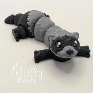 Ferret