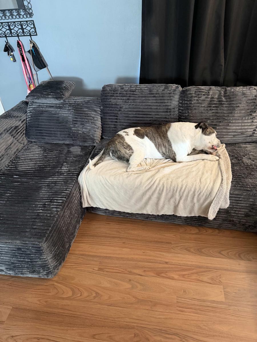 Item: Grey Plush Corduroy