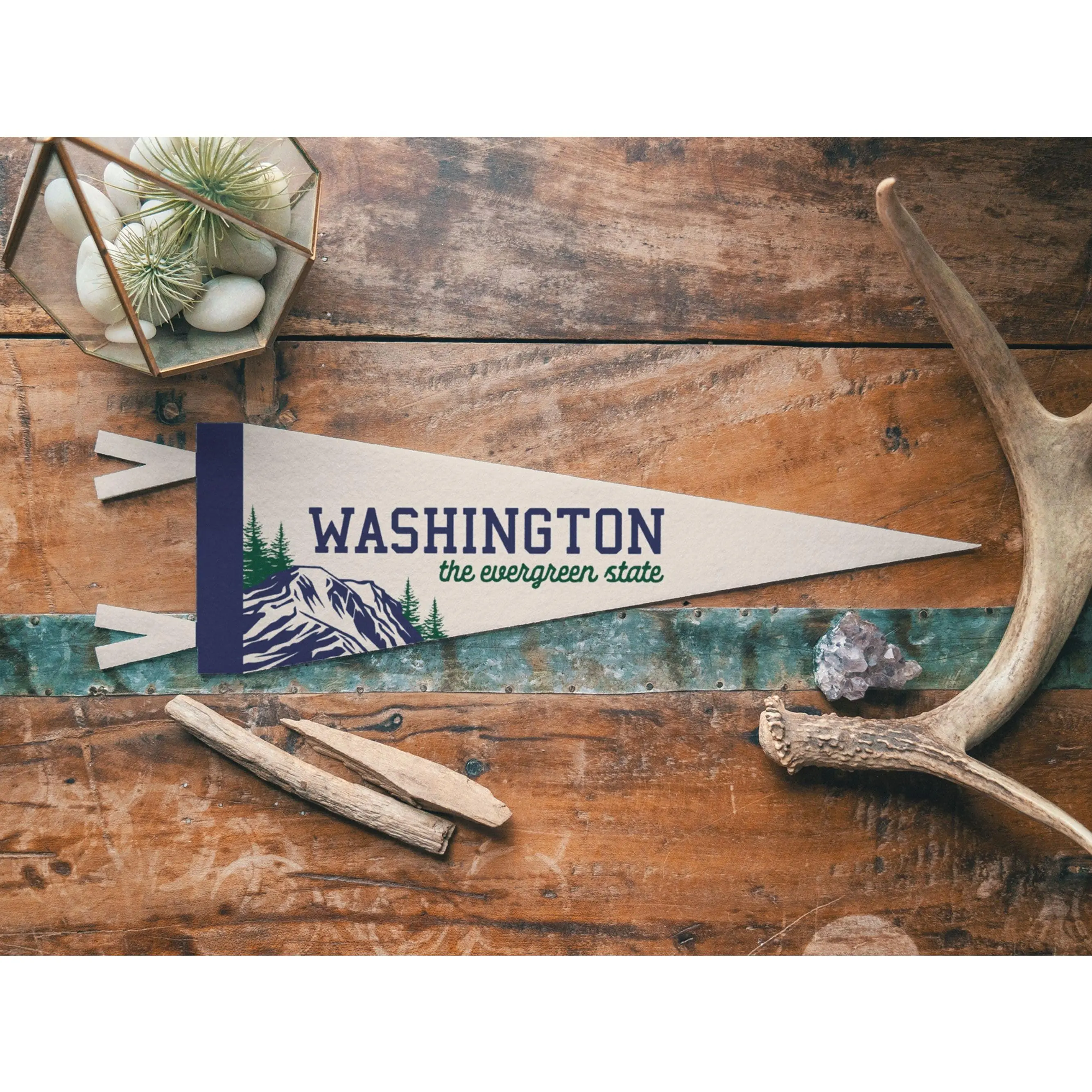 Washington Felt Pennant