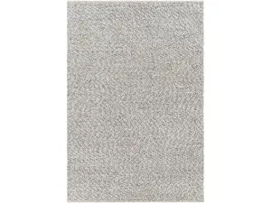 Livabliss Rugs VST2302-576 5 ft. x 7 ft. 6 in. Vesta Rectangle Area Throw Rug, Natural