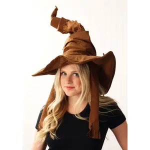 Harry Potter Costume Sorting Hat