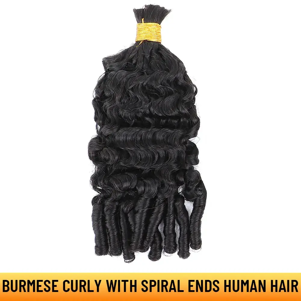 YGwigs Double Drawn Burmese Curly with Spiral Ends Natural Black Bulk Human Hair YGwigs Double Drawn Burmese Curly with Spiral Ends Natural Black Bulk Human Hair
