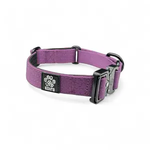 Purple Koira Martingale Dog Collar – Essential Line