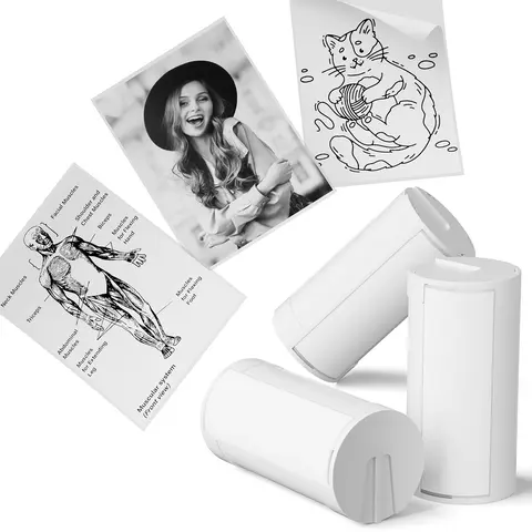 PM290C BPA-Free Direct Thermal Self-Adhesive Labels (3 Rolls), 54mmx3.2m High-Adhesive Thermal Paper Outdoor Decals for DIY Crafts, Room Decor, Shopping Lists, Printer-Compatible (Printer Not Included)