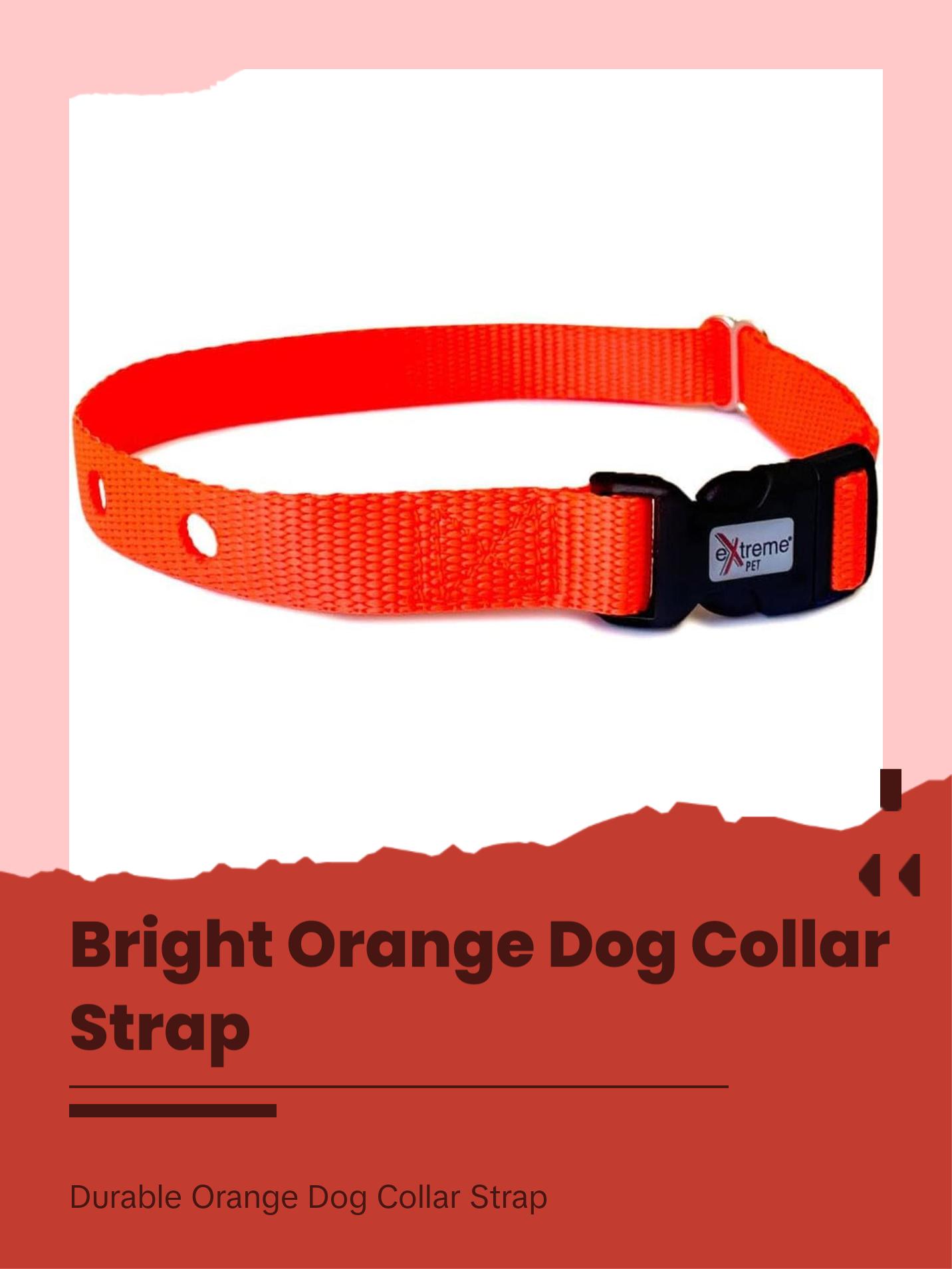 Dog Collar Replacement Strap - Bright Orange - Compatible with Nearly All Brands and Models of Underground Dog Fences