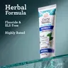 GuruNanda Hydroxyapatite Neem Whitening Toothpaste, SLS & Fluoride Free, Freshens Breath & Fights Plaque, Natural CocoMint Jasmine, 4.2oz