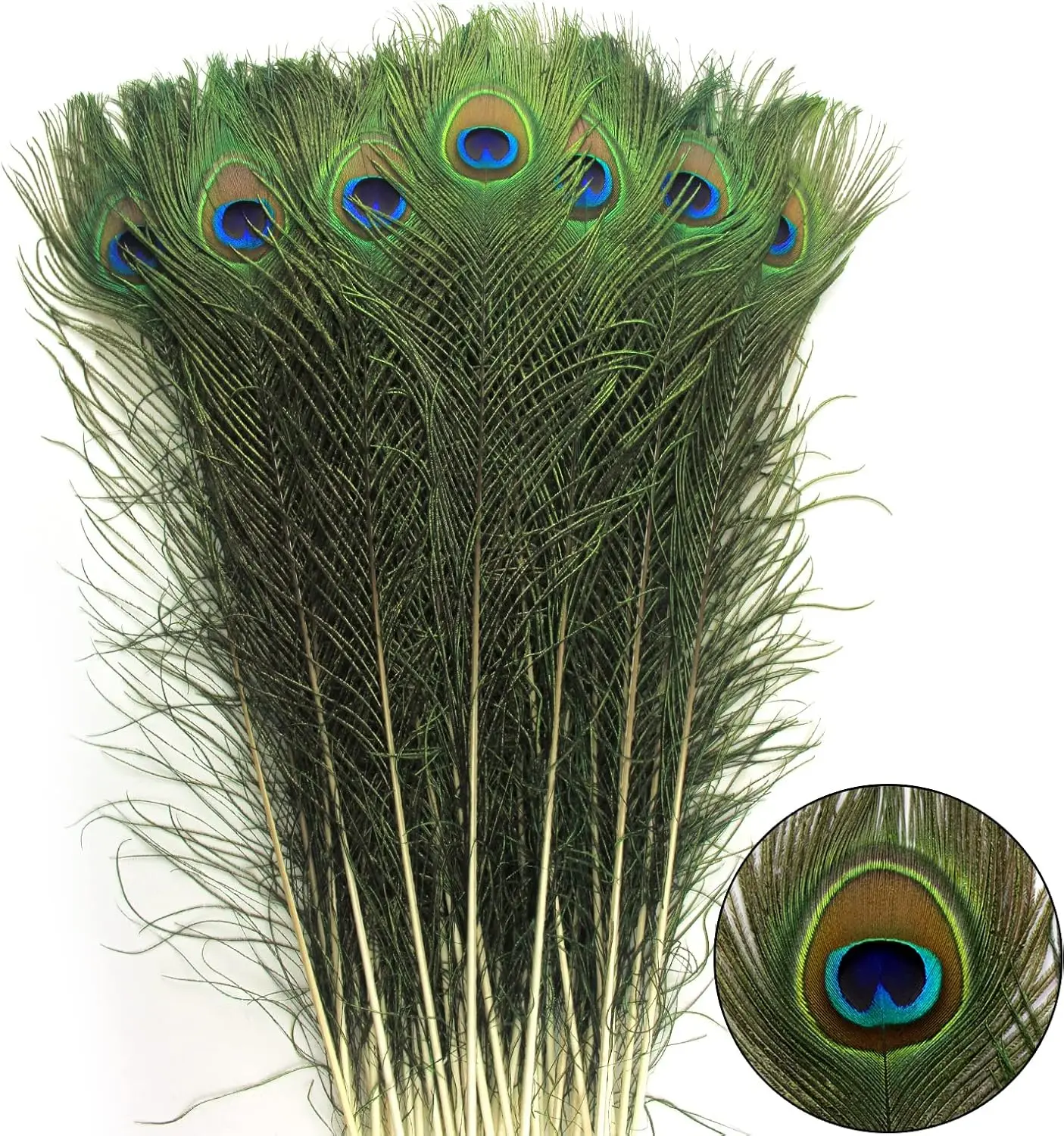 24pcs Peacock Feathers Long Natural in Bulk 32-35 inch 80-90 cm for Vase Craft Vase Wedding Home Party Christmas Day Decoration Peacock Feathers