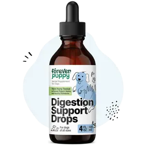 Digestion Drops for Dogs - Fennel Seeds & Licorice Root Extract for Dogs' Digestive Health Support - Liquid Gut Support Fiber Supplement for All Breeds & Sizes - 4 oz