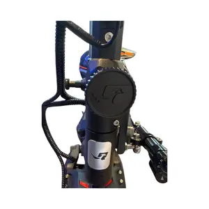RoadRunner RS6 Electric Scooter Folding Knob (OEM)