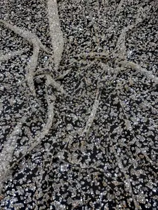 Champagne-Silver Beaded Sequin Lace