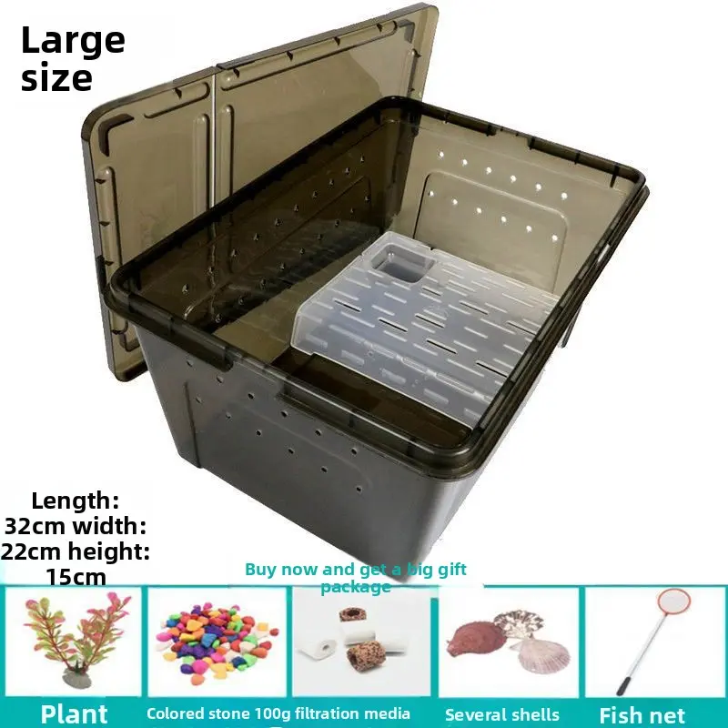 Large black transparent turtle-shaped box (comes w