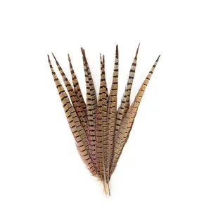ZUCKER Pheasant Tails Assorted Natural 14-18 Inch Ringneck & Golden Feathers 10 Piece Pack