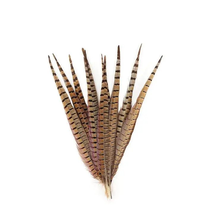 ZUCKER Pheasant Tails Assorted Natural 14-18 Inch Ringneck & Golden Feathers 10 Piece Pack